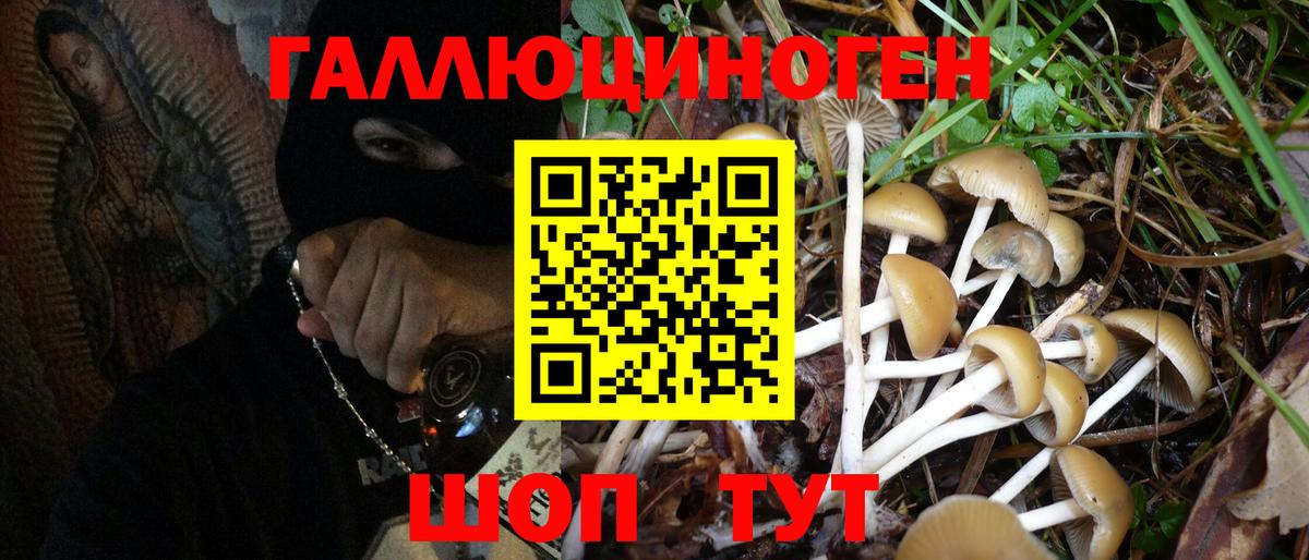 Рассказово  Галлюциногенные грибы Psilocybe  Псилоцибиновые грибы MAGIC MUSHROOMS  Вход с VPN 